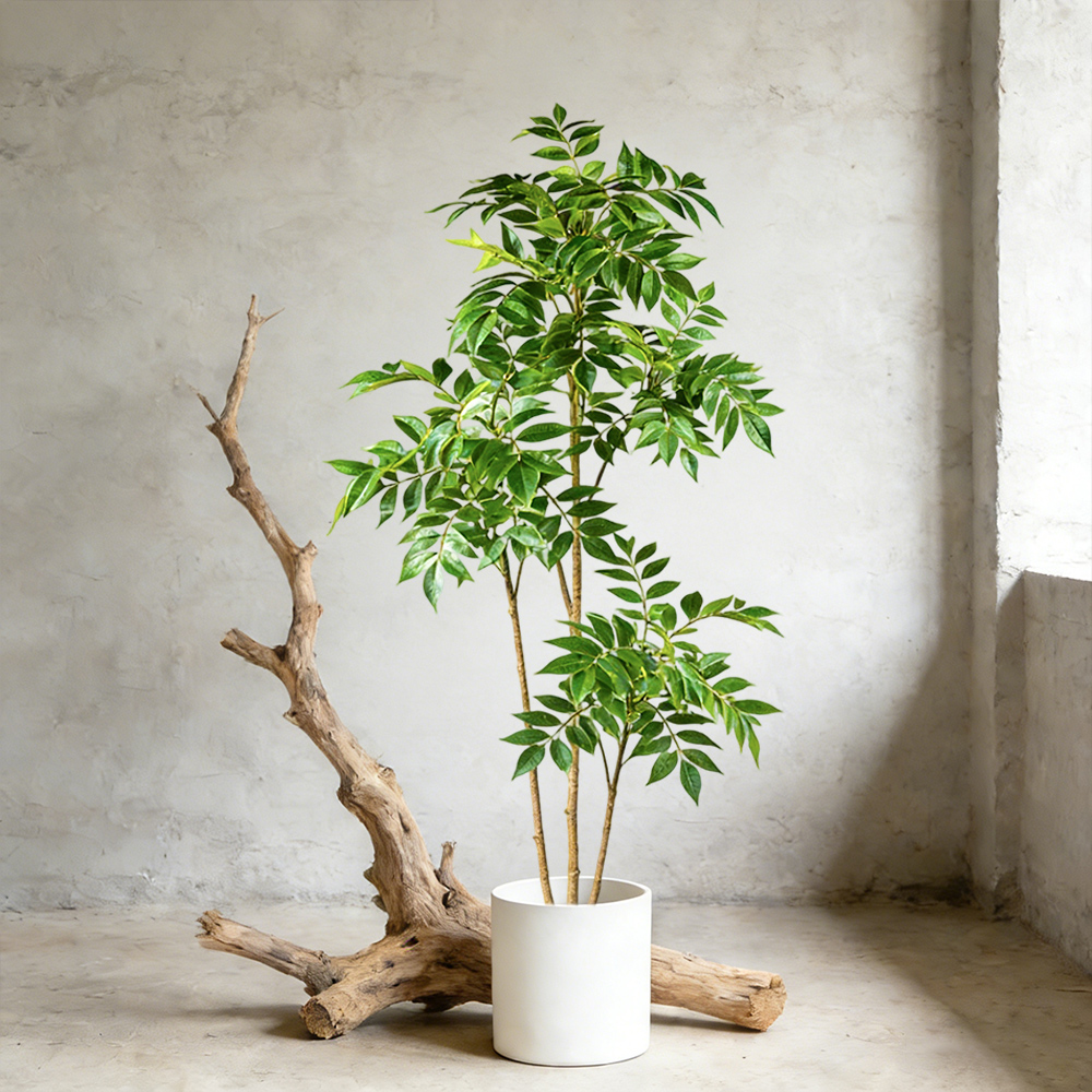 Dracaena Marginata - Искусственное резиновое дерево (76-140 см), имитация