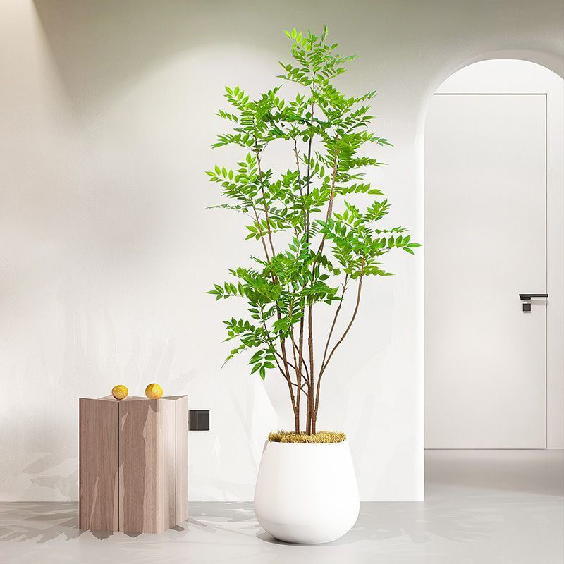 Dracaena Marginata - Большие искусственные растения 27-59 дюймов, искусственные
