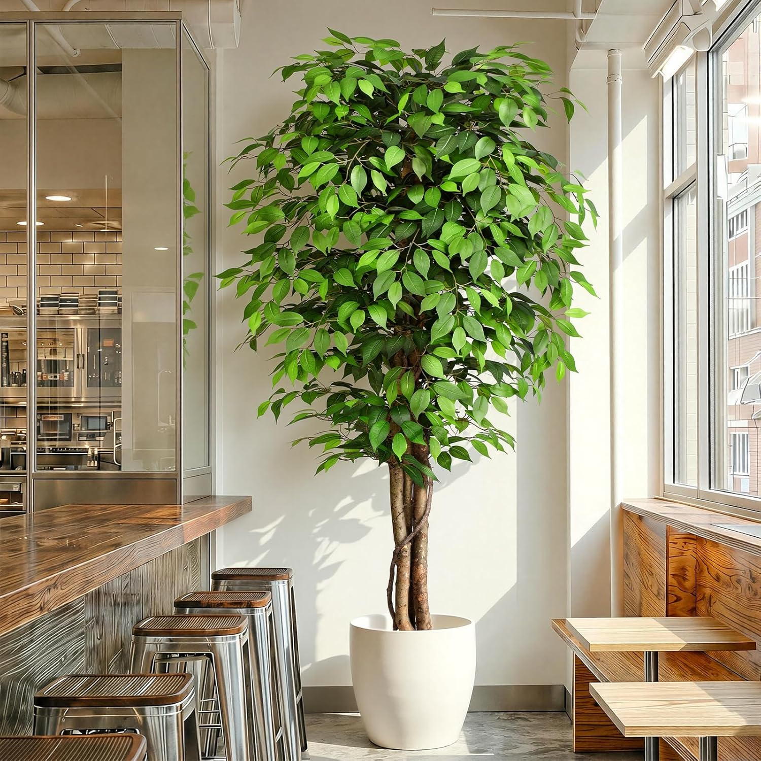 Искусственное дерево фикус с р – обзор и цена Dracaena Marginata