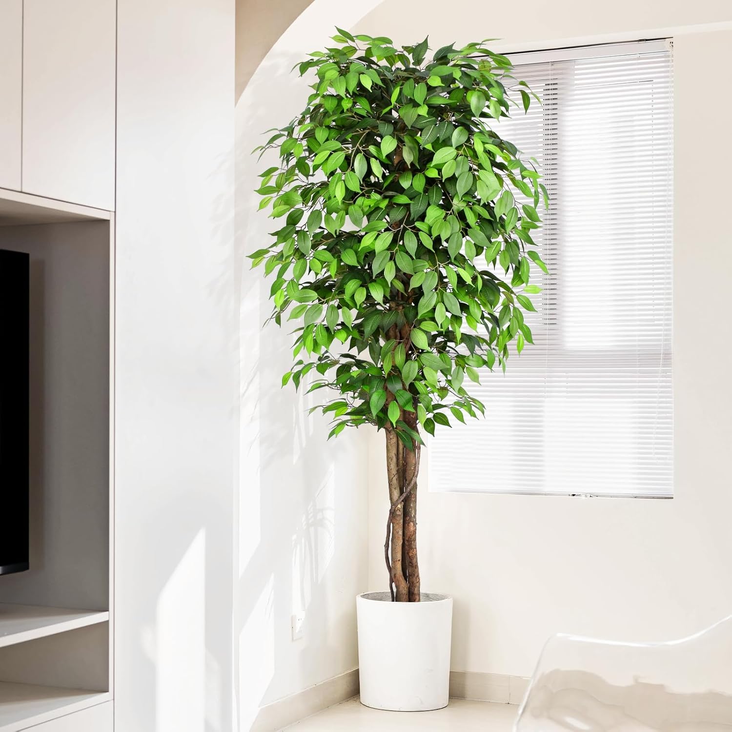Искусственное дерево фикус с р – обзор и цена Dracaena Marginata