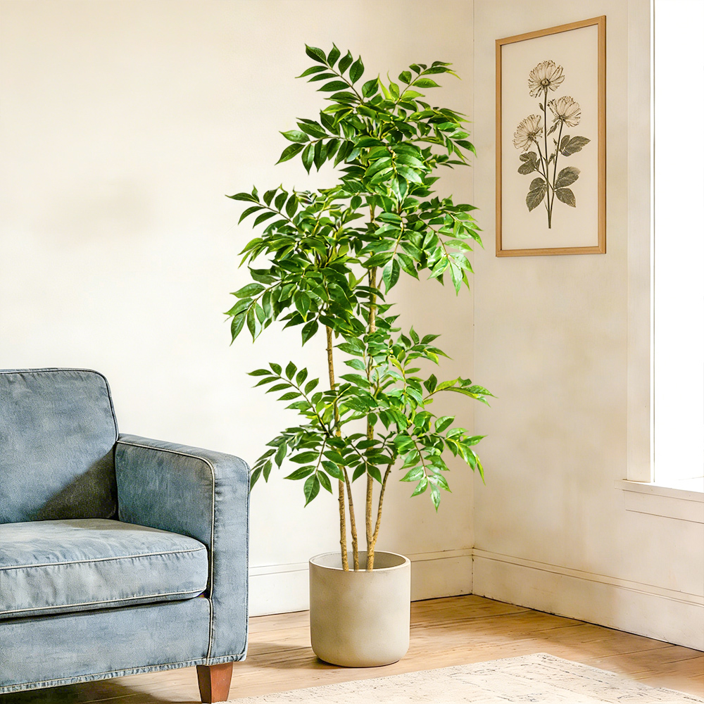 Искусственное резиновое дерево – обзор и цена Dracaena Marginata