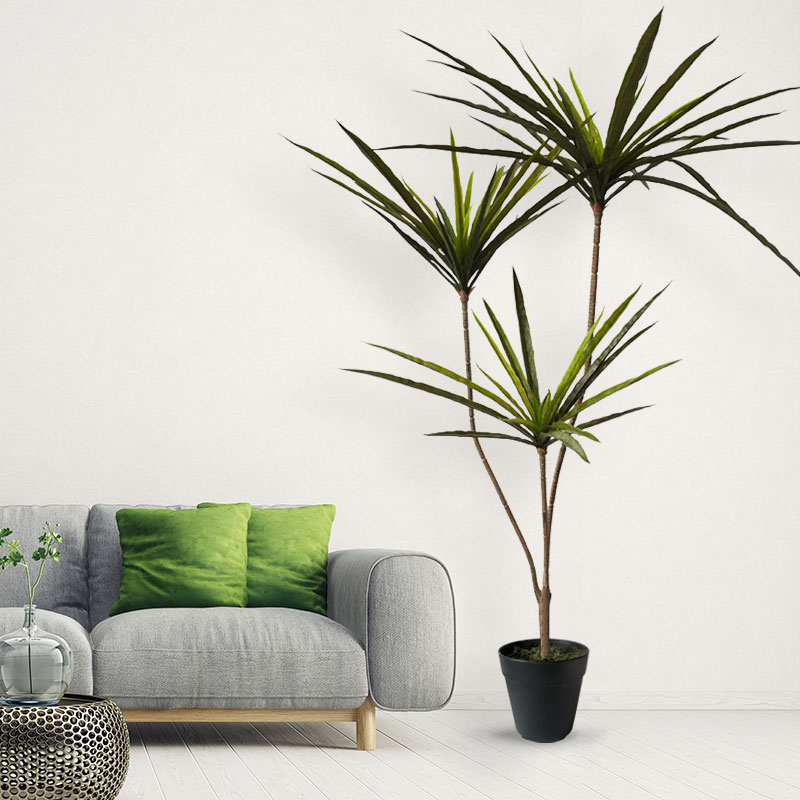 Большие искусственные драценны – обзор и цена Dracaena Marginata