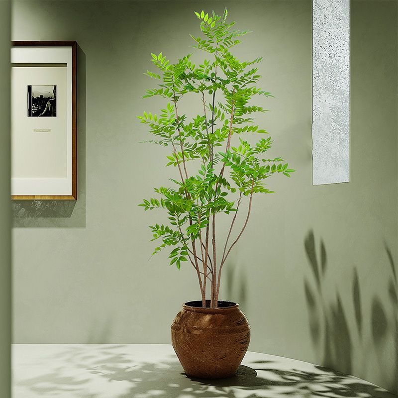 Большие искусственные растения – обзор и цена Dracaena Marginata