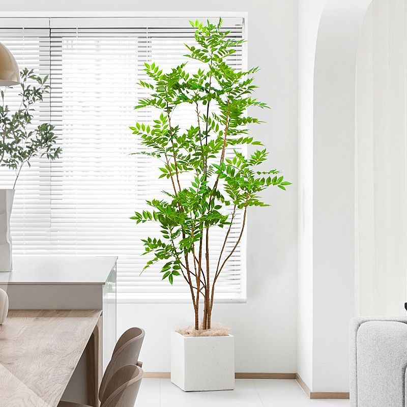 Большие искусственные растения – обзор и цена Dracaena Marginata