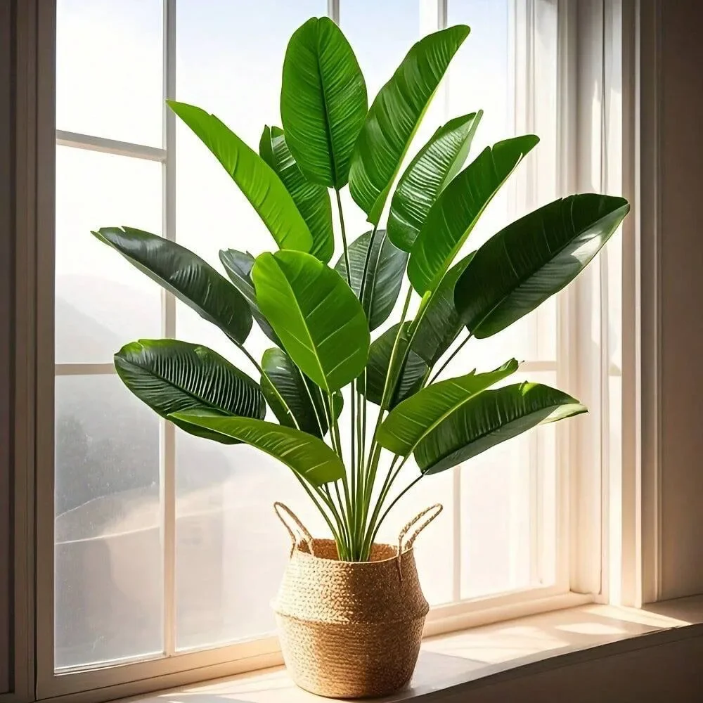 1 шт., 18 листьев, искусственн – обзор и цена Dracaena Marginata