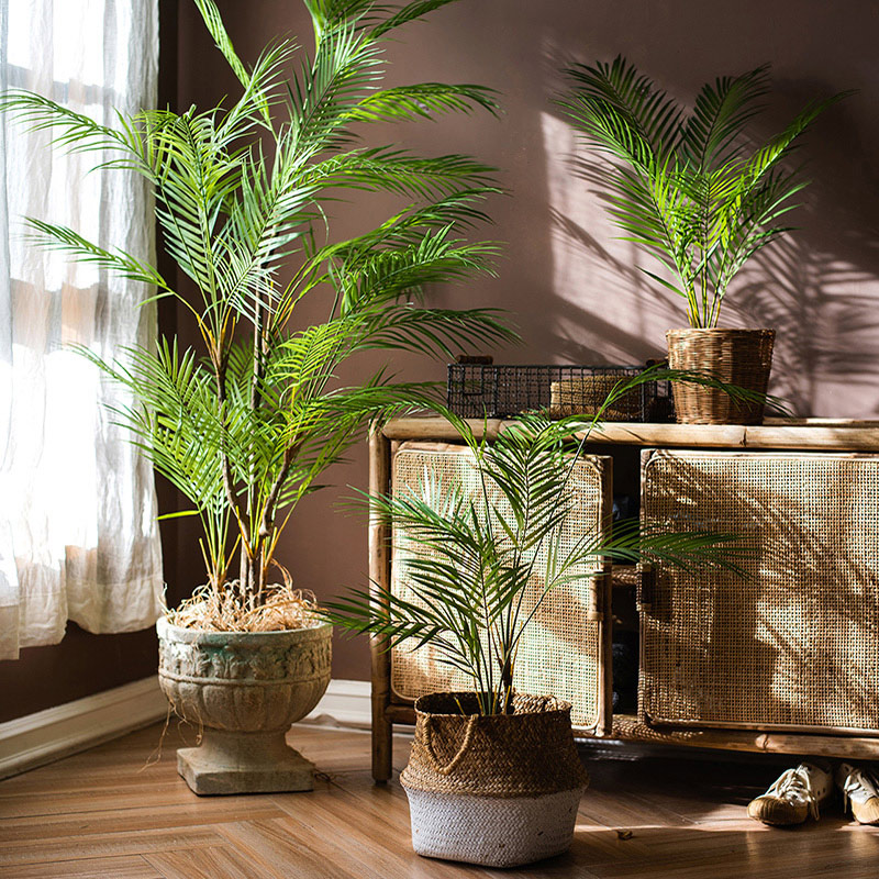 Искусственная пальма 125 см, б – обзор и цена Dracaena Marginata